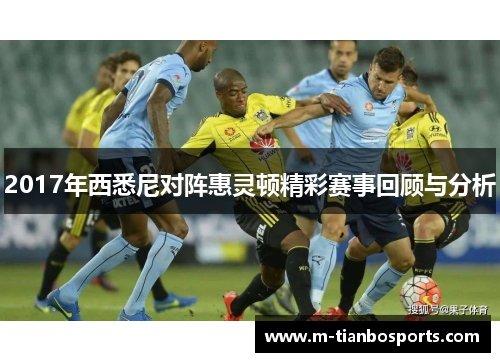 2017年西悉尼对阵惠灵顿精彩赛事回顾与分析